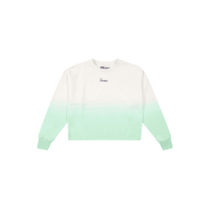 Raizzed Bluză de molton 'WYOMING' verde pastel / alb imagine