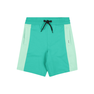 Raizzed Pantaloni 'RECIFE' verde deschis / verde pastel imagine
