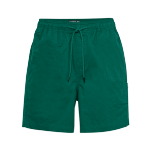 ELEMENT Pantaloni sport 'VACATION' verde imagine