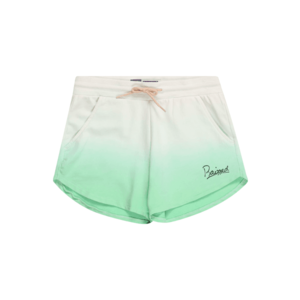 Raizzed Pantaloni 'AUSTON' alb / verde limetă imagine