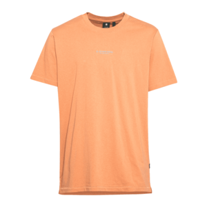 G-Star RAW Tricou portocaliu piersică / gri deschis imagine