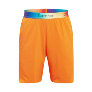 Calvin Klein Performance Pantaloni sport 'Pride' portocaliu închis imagine
