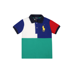 Polo Ralph Lauren Poloshirt verde jad / albastru închis / alb / galben / roșu imagine