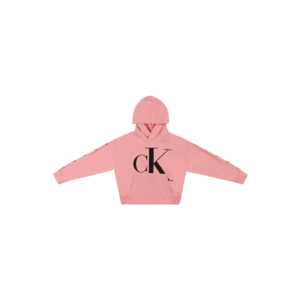 Calvin Klein Jeans Bluză de molton negru / roz imagine