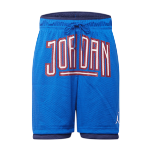 Jordan Pantaloni 'DNA' albastru regal / bleumarin / alb / roșu cireș imagine
