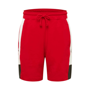 Jordan Pantaloni roșu / alb / negru imagine