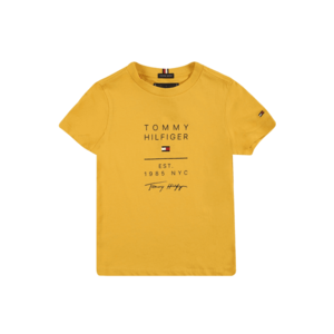TOMMY HILFIGER Tricou galben auriu / albastru noapte / roșu imagine