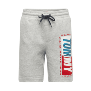 Tommy Jeans Pantaloni azuriu / alb / roșu / gri deschis imagine