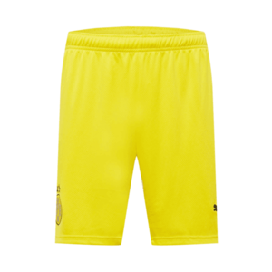 PUMA Pantaloni sport 'BVB' galben / galben neon / negru imagine