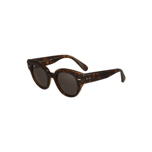 Ray-Ban Ochelari de soare '0RB2192' maro / castaniu imagine