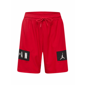 Jordan Pantaloni sport roșu / negru / alb imagine