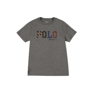Polo Ralph Lauren T-Shirt gri amestecat / mai multe culori imagine