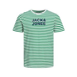 JACK & JONES Tricou 'Vardant' verde / alb / bleumarin imagine