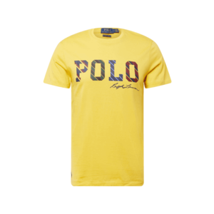 Polo Ralph Lauren Tricou galben / albastru închis / roșu vin imagine