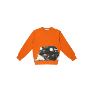 Molo Bluză de molton 'Mann' portocaliu / mai multe culori imagine