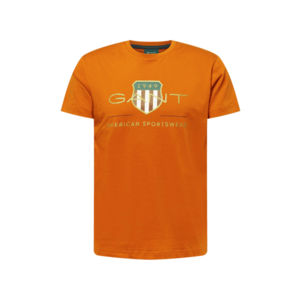 GANT Tricou portocaliu / verde deschis / portocaliu închis / alb imagine