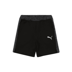 PUMA Pantaloni sport 'Evostripe' negru / alb / gri metalic imagine