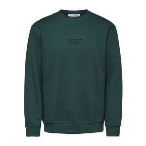 SELECTED HOMME Bluză de molton 'Beckster' negru / verde smarald imagine