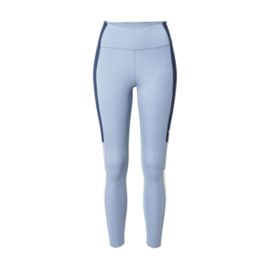 NIKE Pantaloni sport gri argintiu / alb / albastru marin imagine