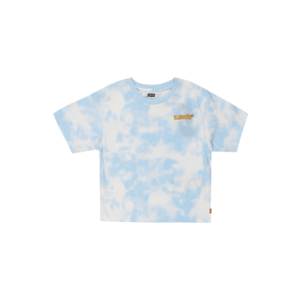 LEVI'S Shirt 'JORDI' albastru deschis / alb / roșu / galben imagine