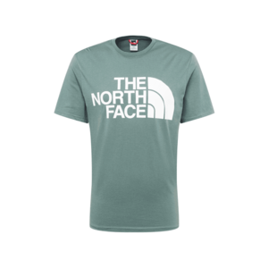 THE NORTH FACE Tricou 'STANDARD' verde mentă / alb imagine