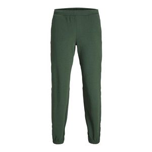 JJXX Pantaloni 'Alberte' verde pin imagine