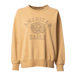 American Eagle Bluză de molton galben muștar / gri imagine