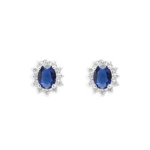 Catherine Royal Blue Earrings CZE975 imagine