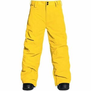 Horsefeathers REESE YOUTH PANTS Pantaloni de schi/snowboard băieți, galben, mărime S imagine