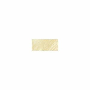 HennaPlus Vopsea de păr Long Lasting Colour 100 ml (Long Lasting Colour) 10 Extra Blond imagine