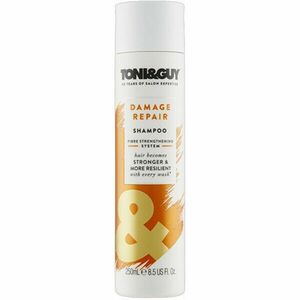 Toni&Guy Șampon pentru păr deteriorat (Shampoo For Damaged Hair) 250 ml imagine