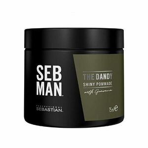 Sebastian Professional Pomadă pentru păr SEB MAN The Dandy (Shiny Pommade) 75 ml imagine