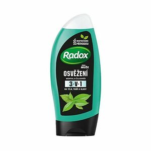 Radox Gel de duș Revigorare 3 în 1 250 ml imagine