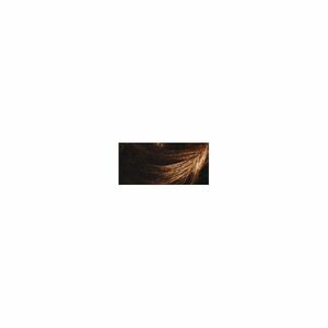 Schwarzkopf Vopsea permanentă pentru păr Palette Intensive Color Creme 4-5 (G3) Pralina imagine