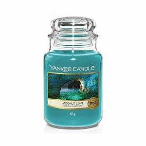 Yankee Candle Lumânare aromatică Classicmare Moonlit Cove 623 g imagine