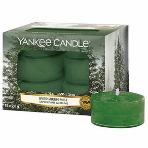 Yankee Candle Lumânări de ceai aromate Evergreen Mist 12 x 9, 8 g imagine
