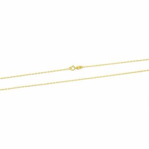 Beneto Exclusive Lanț la modă din aur galben Anker AUS0013-G 55 cm imagine