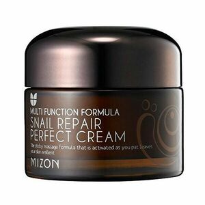 Mizon Cremă cu filtrat de melc 60 % pentru ten problematic (Snail Repair Perfect Cream) 50 ml imagine