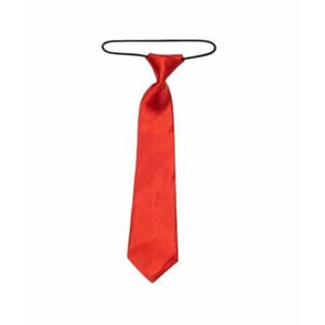Cravata pentru copii Buticcochet Rosu din material sintetic 28 cm B7984 E imagine