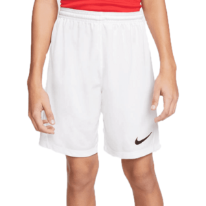 Nike DRI-FIT PARK 3 JR TQO Pantaloni de fotbal băieți, alb, mărime L imagine