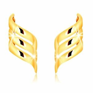 Cercei din aur galben 375 - trei panglici lucioase răsucite în spirală imagine