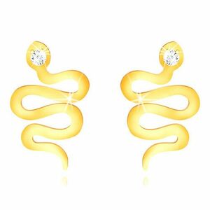 Cercei din aur 375 - șarpe lucios ondulat cu cap de zirconiu imagine