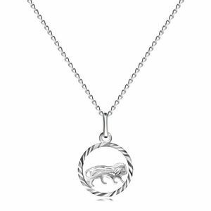 Lanț și pandantiv din argint, model semn zodiacal LEU imagine