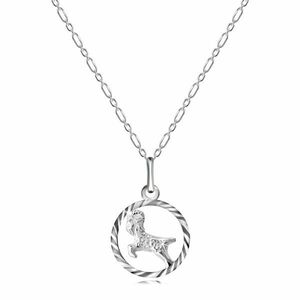 Colier din argint 925 - lanț și semn zodiacal Capricorn imagine