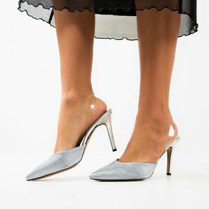 Pantofi dama Meray Argintii imagine