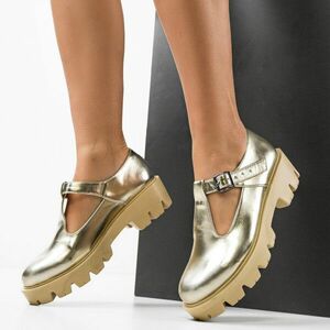 Pantofi Casual Lybon Aurii imagine