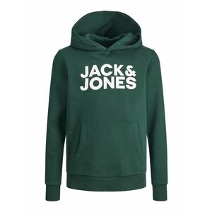 Jack & Jones Junior Bluză de molton verde pin / alb imagine