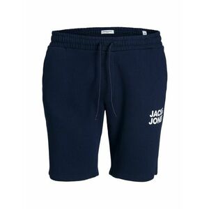 Jack & Jones Plus Pantaloni bleumarin / alb imagine