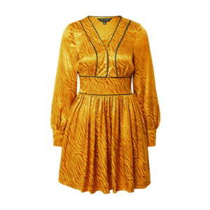 Dorothy Perkins Rochie galben auriu / negru imagine