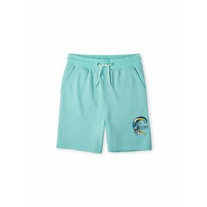 O'NEILL Pantaloni sport albastru / galben / verde jad / alb imagine